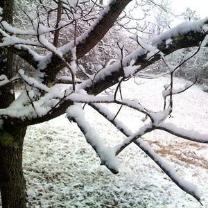 Meet your Posher, Ivy